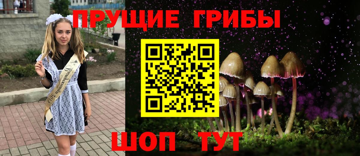 Астрахань  Псилоцибиновые грибы мицелий  как найти   Вход с VPN 